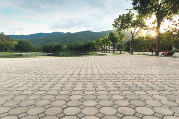 Best Custom Driveway Pavers  in East Massapequa, NY